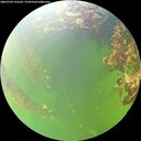 ./images/calvert/underwater/20260709/underwater20260709_122501M.jpg