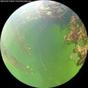 ./images/calvert/underwater/20260709/underwater20260709_123001M.jpg