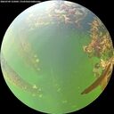 ./images/calvert/underwater/20260709/underwater20260709_125001M.jpg