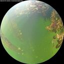 ./images/calvert/underwater/20260709/underwater20260709_130501M.jpg