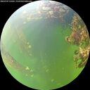./images/calvert/underwater/20260709/underwater20260709_131001M.jpg