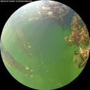./images/calvert/underwater/20260709/underwater20260709_133002M.jpg