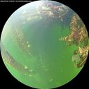 ./images/calvert/underwater/20260709/underwater20260709_134501M.jpg