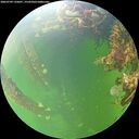 ./images/calvert/underwater/20260709/underwater20260709_135001M.jpg