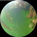./images/calvert/underwater/20260709/underwater20260709_142001M.jpg