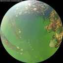 ./images/calvert/underwater/20260709/underwater20260709_142501M.jpg