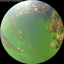 ./images/calvert/underwater/20260709/underwater20260709_143001M.jpg