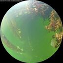 ./images/calvert/underwater/20260709/underwater20260709_145002M.jpg