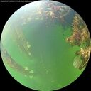 ./images/calvert/underwater/20260709/underwater20260709_145501M.jpg