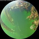 ./images/calvert/underwater/20260709/underwater20260709_154001M.jpg