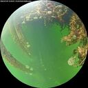 ./images/calvert/underwater/20260709/underwater20260709_154501M.jpg