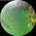 ./images/calvert/underwater/20260709/underwater20260709_155001M.jpg