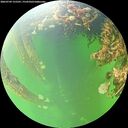 ./images/calvert/underwater/20260709/underwater20260709_155501M.jpg