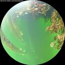 ./images/calvert/underwater/20260709/underwater20260709_160001M.jpg