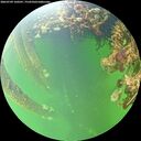 ./images/calvert/underwater/20260709/underwater20260709_160501M.jpg