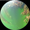 ./images/calvert/underwater/20260709/underwater20260709_165501M.jpg
