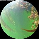 ./images/calvert/underwater/20260709/underwater20260709_170501M.jpg