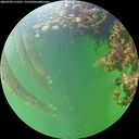 ./images/calvert/underwater/20260709/underwater20260709_172501M.jpg
