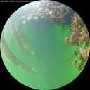 ./images/calvert/underwater/20260709/underwater20260709_174001M.jpg