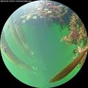 ./images/calvert/underwater/20260709/underwater20260709_175501M.jpg