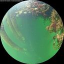 ./images/calvert/underwater/20260709/underwater20260709_180501M.jpg