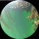 ./images/calvert/underwater/20260709/underwater20260709_181501M.jpg