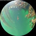 ./images/calvert/underwater/20260709/underwater20260709_190501M.jpg