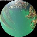 ./images/calvert/underwater/20260709/underwater20260709_191001M.jpg