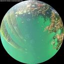 ./images/calvert/underwater/20260709/underwater20260709_194502M.jpg