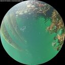 ./images/calvert/underwater/20260709/underwater20260709_202001M.jpg