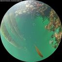 ./images/calvert/underwater/20260709/underwater20260709_202501M.jpg