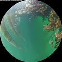 ./images/calvert/underwater/20260709/underwater20260709_203001M.jpg