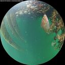 ./images/calvert/underwater/20260709/underwater20260709_204501M.jpg