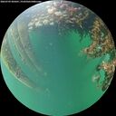 ./images/calvert/underwater/20260709/underwater20260709_205001M.jpg
