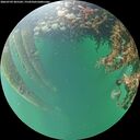 ./images/calvert/underwater/20260709/underwater20260709_205502M.jpg