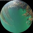 ./images/calvert/underwater/20260709/underwater20260709_211001M.jpg