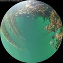 ./images/calvert/underwater/20260709/underwater20260709_211501M.jpg