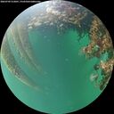 ./images/calvert/underwater/20260709/underwater20260709_212001M.jpg