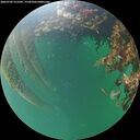 ./images/calvert/underwater/20260709/underwater20260709_212501M.jpg