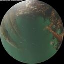 ./images/calvert/underwater/20260709/underwater20260709_214001M.jpg