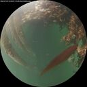 ./images/calvert/underwater/20260709/underwater20260709_214501M.jpg