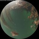 ./images/calvert/underwater/20260709/underwater20260709_215001M.jpg