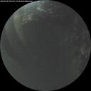 ./images/calvert/underwater/20260709/underwater20260709_221501M.jpg