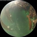 ./images/calvert/underwater/20260710/underwater20260710_055001M.jpg