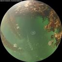 ./images/calvert/underwater/20260710/underwater20260710_060501M.jpg