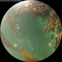 ./images/calvert/underwater/20260710/underwater20260710_061001M.jpg