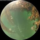 ./images/calvert/underwater/20260710/underwater20260710_061501M.jpg