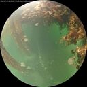 ./images/calvert/underwater/20260710/underwater20260710_062002M.jpg