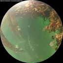 ./images/calvert/underwater/20260710/underwater20260710_062501M.jpg