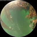 ./images/calvert/underwater/20260710/underwater20260710_063001M.jpg